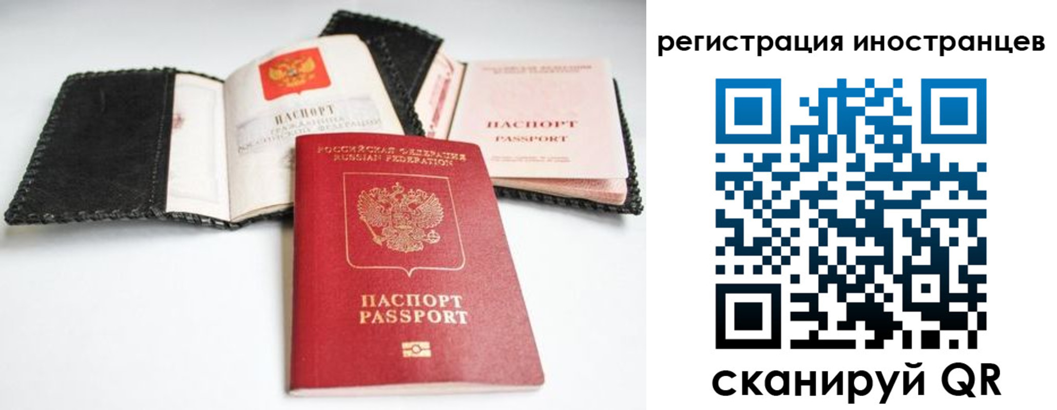 прописка гарантия в Электроуглях
